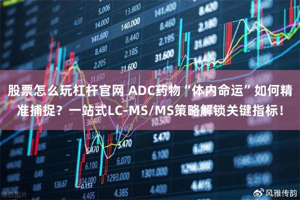 股票怎么玩杠杆官网 ADC药物“体内命运”如何精准捕捉？一站式LC-MS/MS策略解锁关键指标！