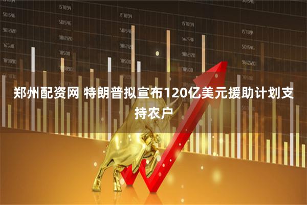 郑州配资网 特朗普拟宣布120亿美元援助计划支持农户