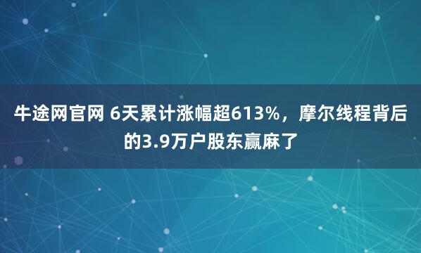 牛途网官网 6天累计涨幅超613%，摩尔线程背后的3.9万户股东赢麻了