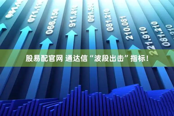 股易配官网 通达信“波段出击”指标！