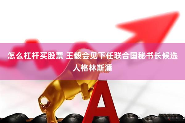 怎么杠杆买股票 王毅会见下任联合国秘书长候选人格林斯潘